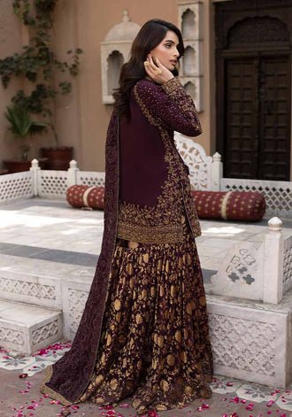 Noor-e-Amber