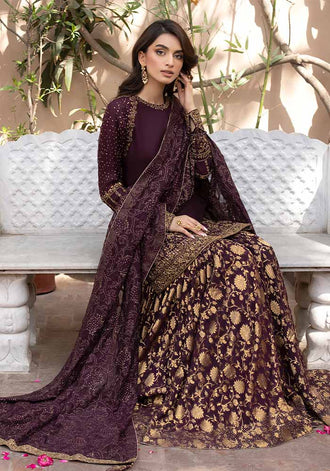 Noor-e-Amber