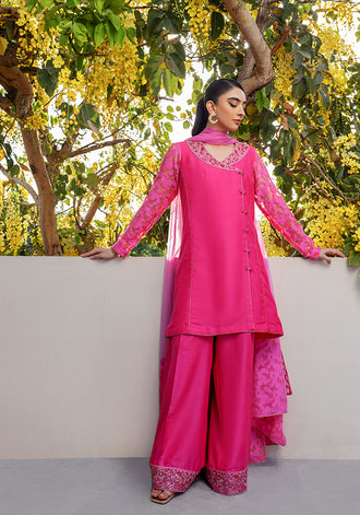 Arzoo