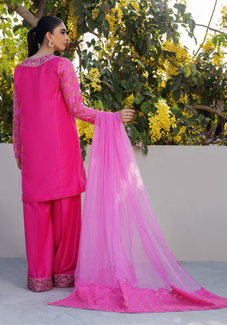 Arzoo