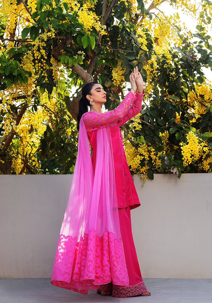 Arzoo
